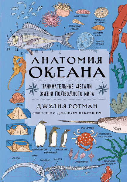 Изображение товара Энциклопедия Эксмо Анатомия океана. Занимательные детали жизни подводного мира (Ротман Д.)