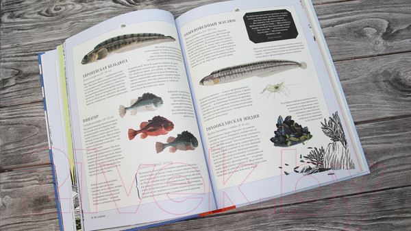 Изображение товара Книга АСТ Муми-тролли на рыбалке (Янссон Т.)