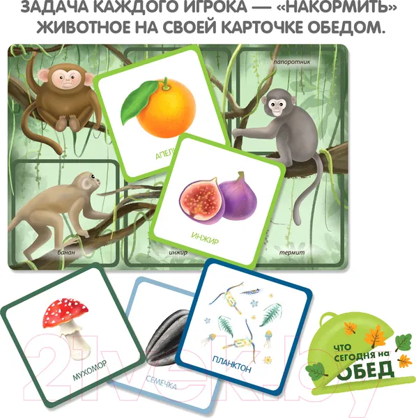 Изображение товара Развивающая игра Bondibon Лото. Что сегодня на обед? / ВВ4879