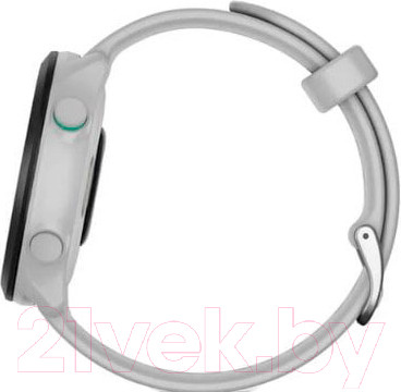 Изображение товара Умные часы Garmin Forerunner 55 / 010-02562-11 (белый)