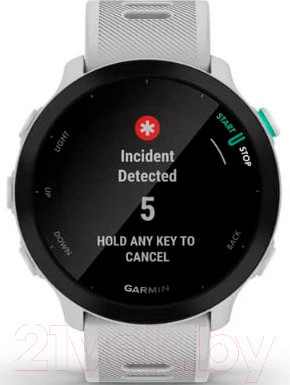 Изображение товара Умные часы Garmin Forerunner 55 / 010-02562-11 (белый)