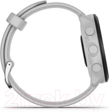 Изображение товара Умные часы Garmin Forerunner 55 / 010-02562-11 (белый)