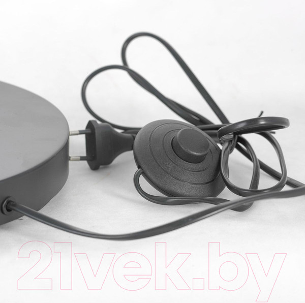 Изображение товара Торшер Lussole LSP-0590