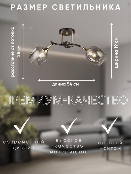 Изображение товара Потолочный светильник Aitin-Pro N4476/2