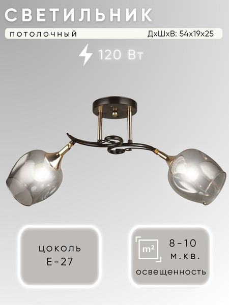 Изображение товара Потолочный светильник Aitin-Pro N4476/2