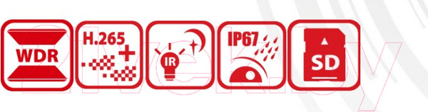 Изображение товара IP-камера Hikvision DS-2CD2643G2-IZS