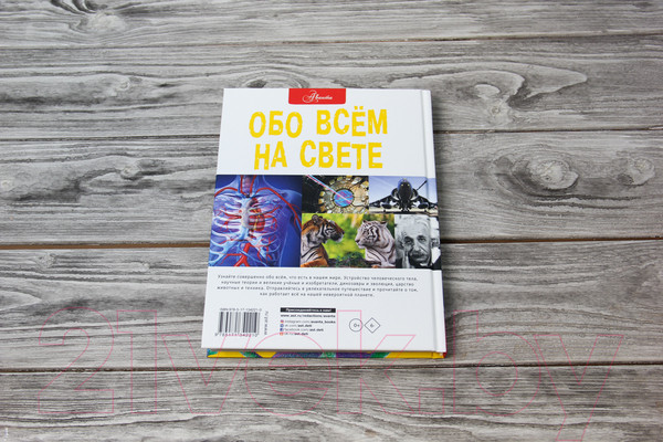 Изображение товара Энциклопедия АСТ Обо всем на свете (Фарндон Д., Паркер С.)