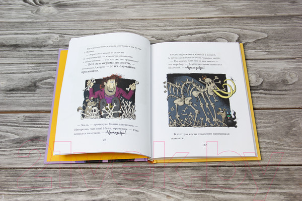 Изображение товара Книга АСТ Ведьмочка Винни и праздник для великана (Оуэн Л., Пол К.)