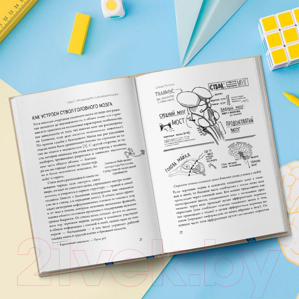 Изображение товара Книга Эксмо Автостопом по мозгу. Когда вся вселенная у тебя в голове (Белова Е.)