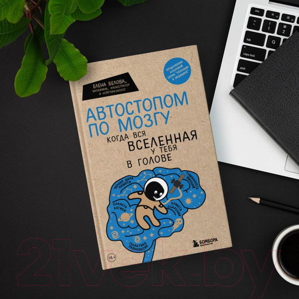 Изображение товара Книга Эксмо Автостопом по мозгу. Когда вся вселенная у тебя в голове (Белова Е.)