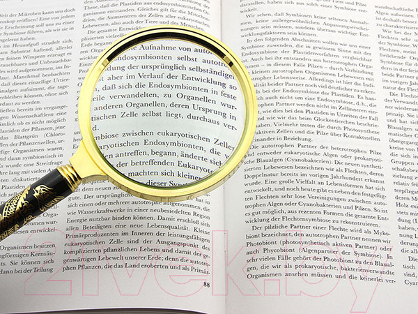 Изображение товара Лупа ручная Veber L90 / 22684