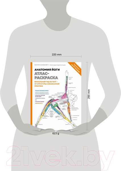 Изображение товара Книга Эксмо Анатомия йоги. Визуальный гид по телу (Солоуэй К.)