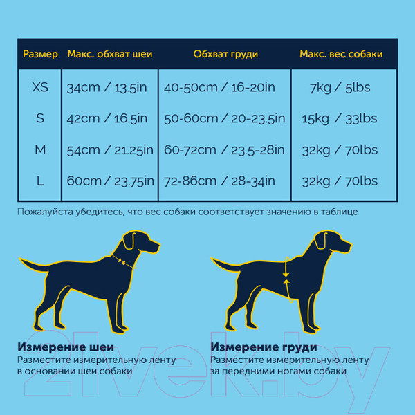 Изображение товара Шлея Halti Carsafe Crash Tested / 90609/COA (ХS, голубой)