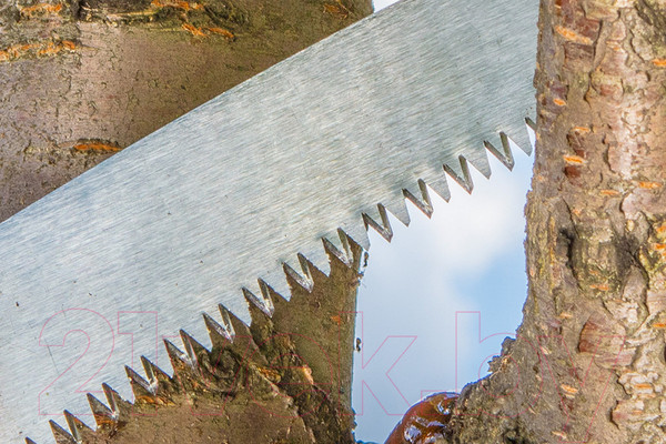 Изображение товара Пила садовая Verto 15G101