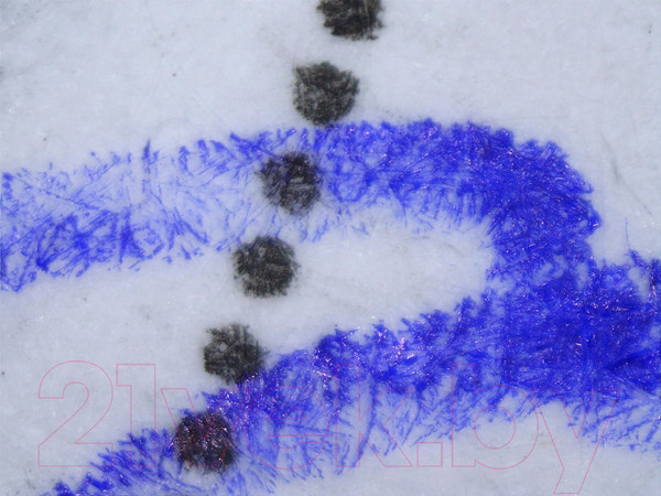 Изображение товара Микроскоп цифровой Микмед 5.0 / 22240