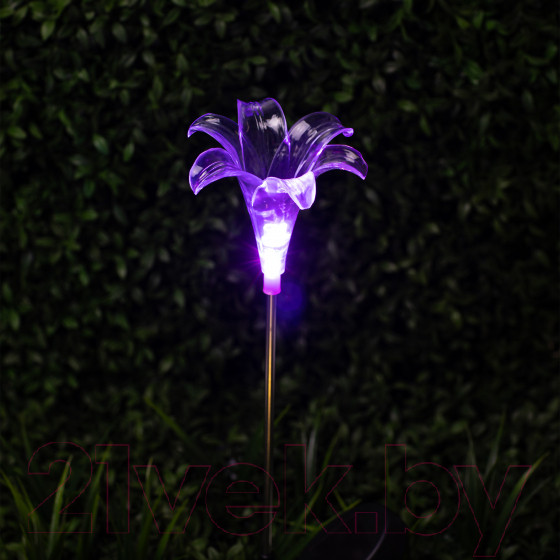 Изображение товара Садовая фигура-светильник ЭРА ERASF22-19 / Б0053379