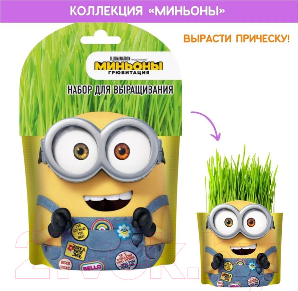 Изображение товара Набор для выращивания растений Вырасти меня Миньоны Боб / hpd-17
