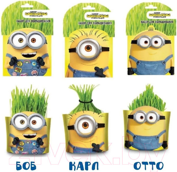 Изображение товара Набор для выращивания растений Вырасти меня Миньоны Боб / hpd-17
