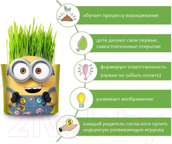 Изображение товара Набор для выращивания растений Вырасти меня Миньоны Боб / hpd-17