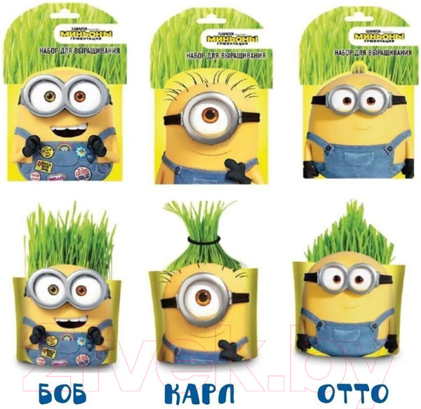 Изображение товара Набор для выращивания растений Вырасти меня Миньоны Карл / hpd-18