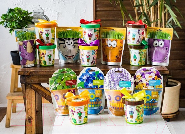 Изображение товара Набор для выращивания растений Вырасти меня Миньоны Карл / hpd-18