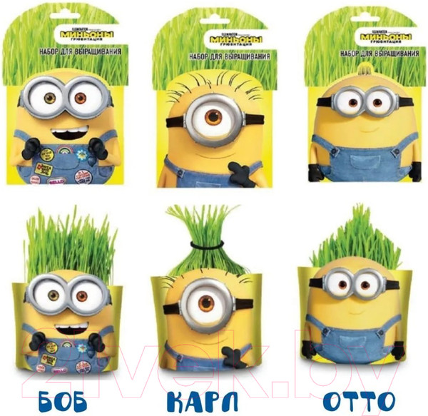 Изображение товара Набор для выращивания растений Вырасти меня Миньоны Отто / hpd-16