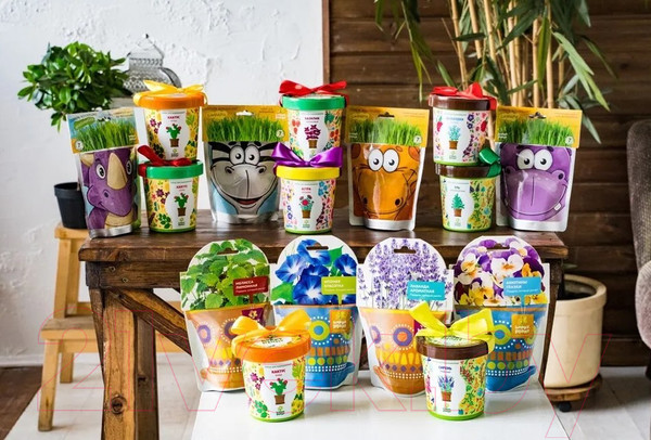 Изображение товара Набор для выращивания растений Вырасти меня Миньоны Отто / hpd-16