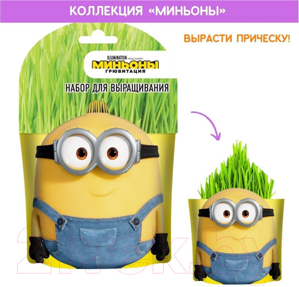 Изображение товара Набор для выращивания растений Вырасти меня Миньоны Отто / hpd-16