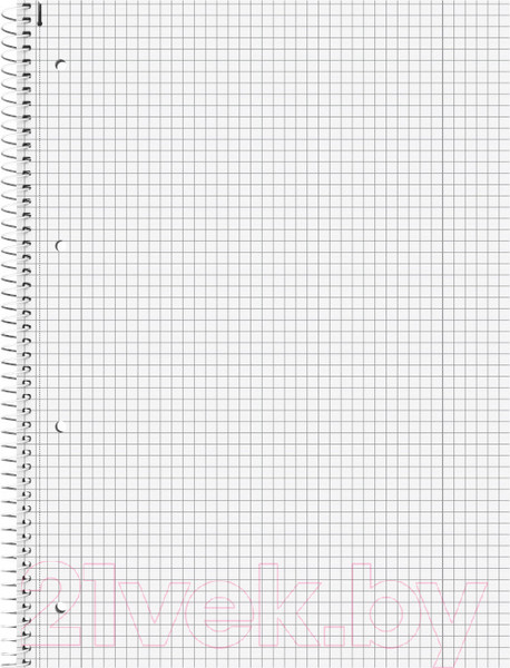 Изображение товара Блокнот Brunnen Fact!Plus А4 Спираль сбоку / 67 828 90 (80л, клетка, черный)