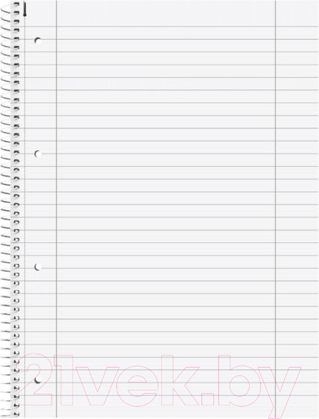 Изображение товара Блокнот Brunnen А4 Спираль сбоку / 67 927 (80л, линейка)