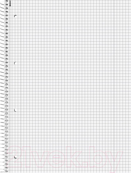 Изображение товара Блокнот Brunnen А4 Спираль сбоку / 67 928 190 (80л, клетка)