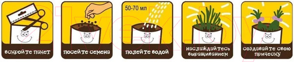 Изображение товара Набор для выращивания растений Вырасти меня Тролли Цветан / hpd-13