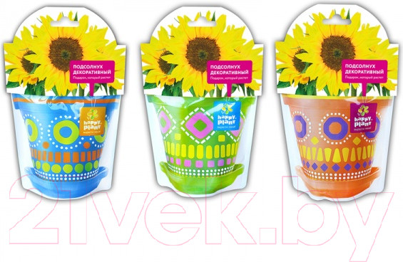 Изображение товара Набор для выращивания растений Happy Plant Подсолнух декоративный / hpd-9