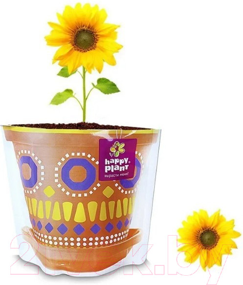 Изображение товара Набор для выращивания растений Happy Plant Подсолнух декоративный / hpd-9