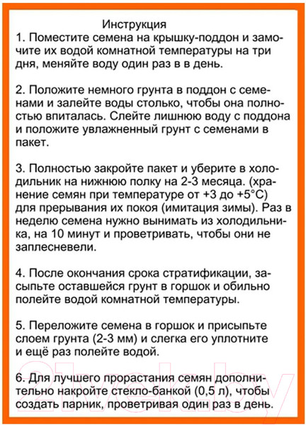 Изображение товара Набор для выращивания растений Rostokvisa Сосна / 35728