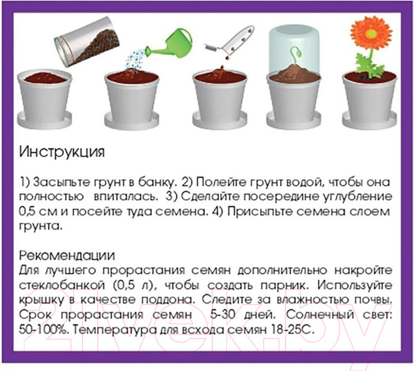 Изображение товара Набор для выращивания растений Rostokvisa Фиалка / 77100