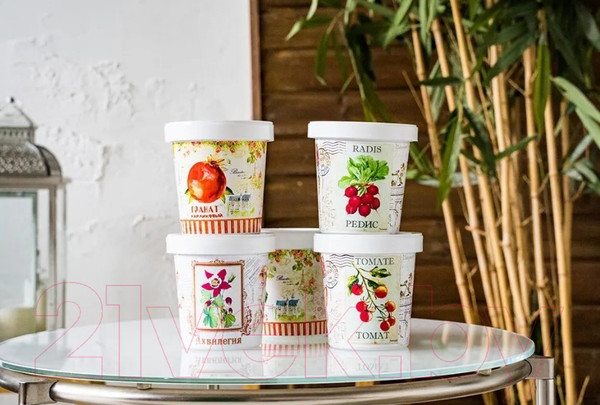 Изображение товара Набор для выращивания растений Rostokvisa Фиалка / 77100