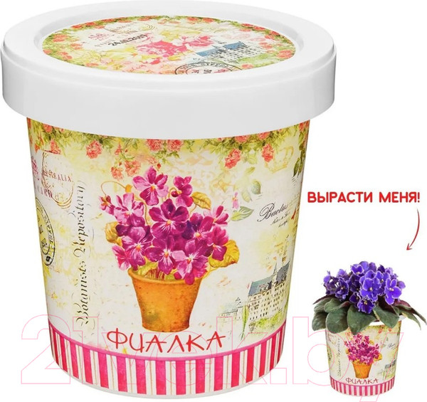 Изображение товара Набор для выращивания растений Rostokvisa Фиалка / 77100
