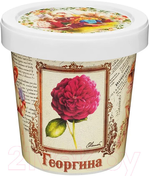 Изображение товара Набор для выращивания растений Rostokvisa Георгина / T1502