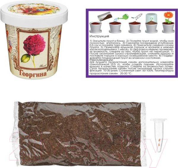 Изображение товара Набор для выращивания растений Rostokvisa Георгина / T1502