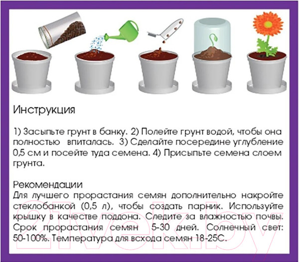 Изображение товара Набор для выращивания растений Rostokvisa Георгина / T1502