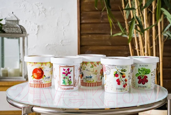 Изображение товара Набор для выращивания растений Rostokvisa Георгина / T1502