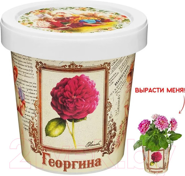 Изображение товара Набор для выращивания растений Rostokvisa Георгина / T1502