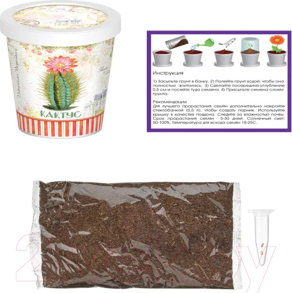 Изображение товара Набор для выращивания растений Rostokvisa Кактус / 88826