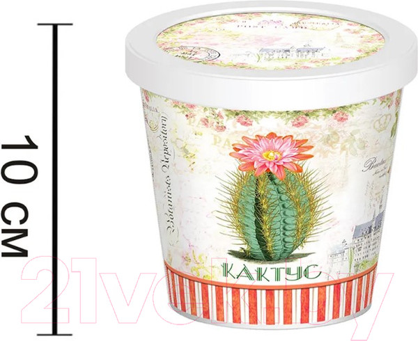 Изображение товара Набор для выращивания растений Rostokvisa Кактус / 88826