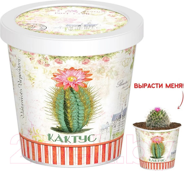 Изображение товара Набор для выращивания растений Rostokvisa Кактус / 88826