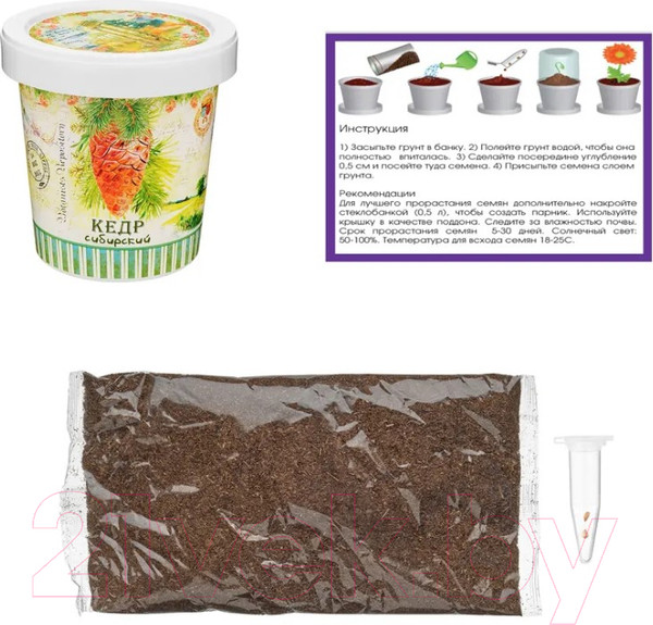 Изображение товара Набор для выращивания растений Rostokvisa Кедр / 17164
