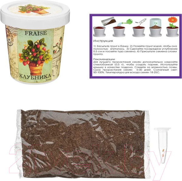 Изображение товара Набор для выращивания растений Rostokvisa Клубника / k1483