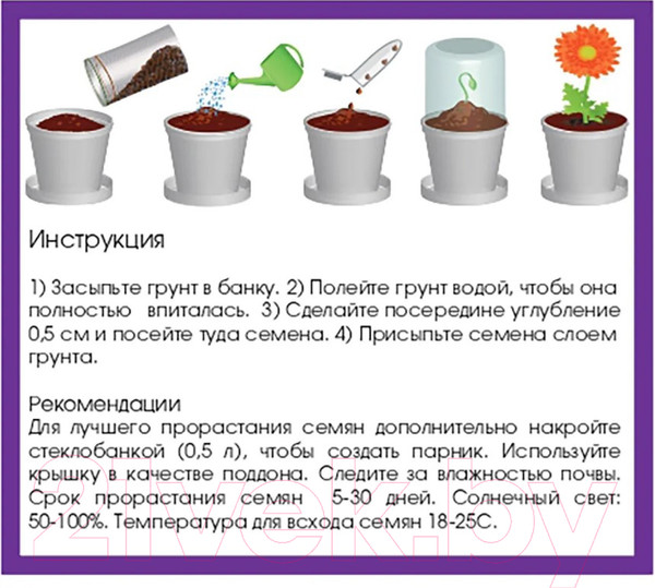 Изображение товара Набор для выращивания растений Rostokvisa Клубника / k1483