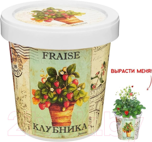 Изображение товара Набор для выращивания растений Rostokvisa Клубника / k1483
